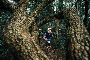 BIB: 
                            <button type="button" onclick="openModal(25393269)" class="btn btn-primary btn-sm float-right btn-popup" data-toggle="modal" data-target=".modal-high-quality">
                        <i class="fas fa-shopping-cart"></i> Add to Cart
                    </button>
                                            <button type="button" onclick="isThisMe(25393269, true)" class="btn btn-success btn-sm float-right btn-popup btn-isme hidden" data-toggle="tooltip" data-placement="bottom" title="นี่คือรูปของคุณใช่ไหม คลิกที่นี่เพื่อเอาเข้าอัลบั้ม">
                        <i class="fas fa-plus"></i> Add to album
                    </button>
                    <button type="button" onclick="isThisMe(25393269, false)" class="btn btn-warning btn-sm float-right btn-popup btn-isnotme hidden">
                        <i class="fas fa-ban"></i> Remove from album
                    </button>